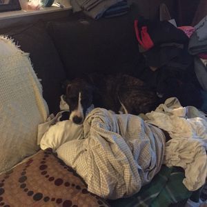 Meet your Posher, Wyatt